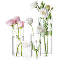 16 Pack Glass Cylinder Vases 4,6,8,10 Inch Tall Clear Flower Vase Hurricane Floating Candle Holder for Table Centerpiece Wedding Home Decor